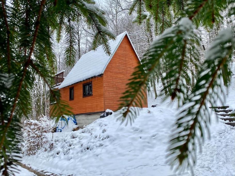 Chata Pod Pindulou Villa Rožnov pod Radhoštěm Esterno foto