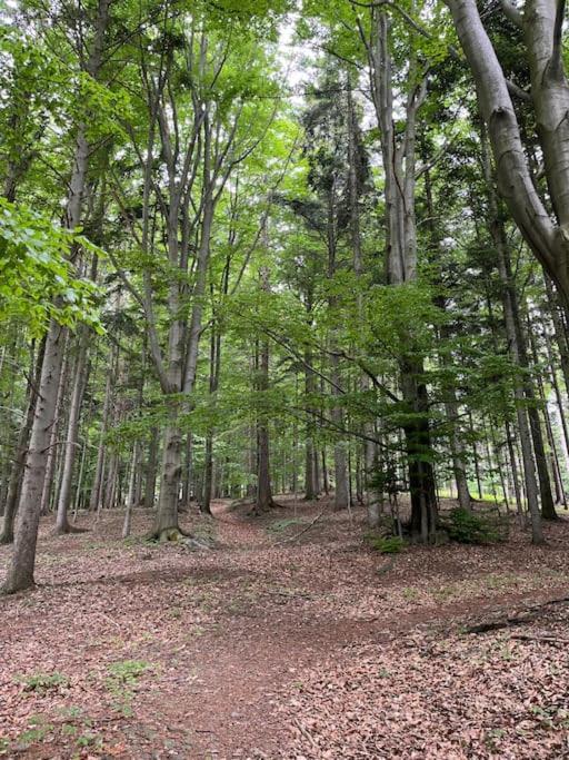 Chata Pod Pindulou Villa Rožnov pod Radhoštěm Esterno foto